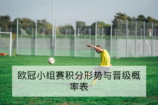 欧冠小组赛积分形势与晋级概率表